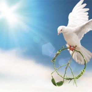 peace-and-conflict