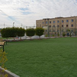 IMG_4545