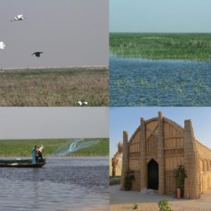 Marshlands-of-Southern-Iraq-480x355