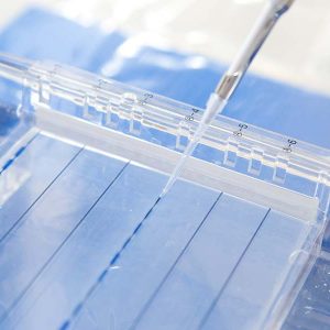 NV_0319_Bergeron_Biotech_Large