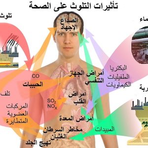كلية-التربية-ابن-الهيثم-تنظم-دورة-تدريبية-حول-التأثيرات-السلبية-للمواد-