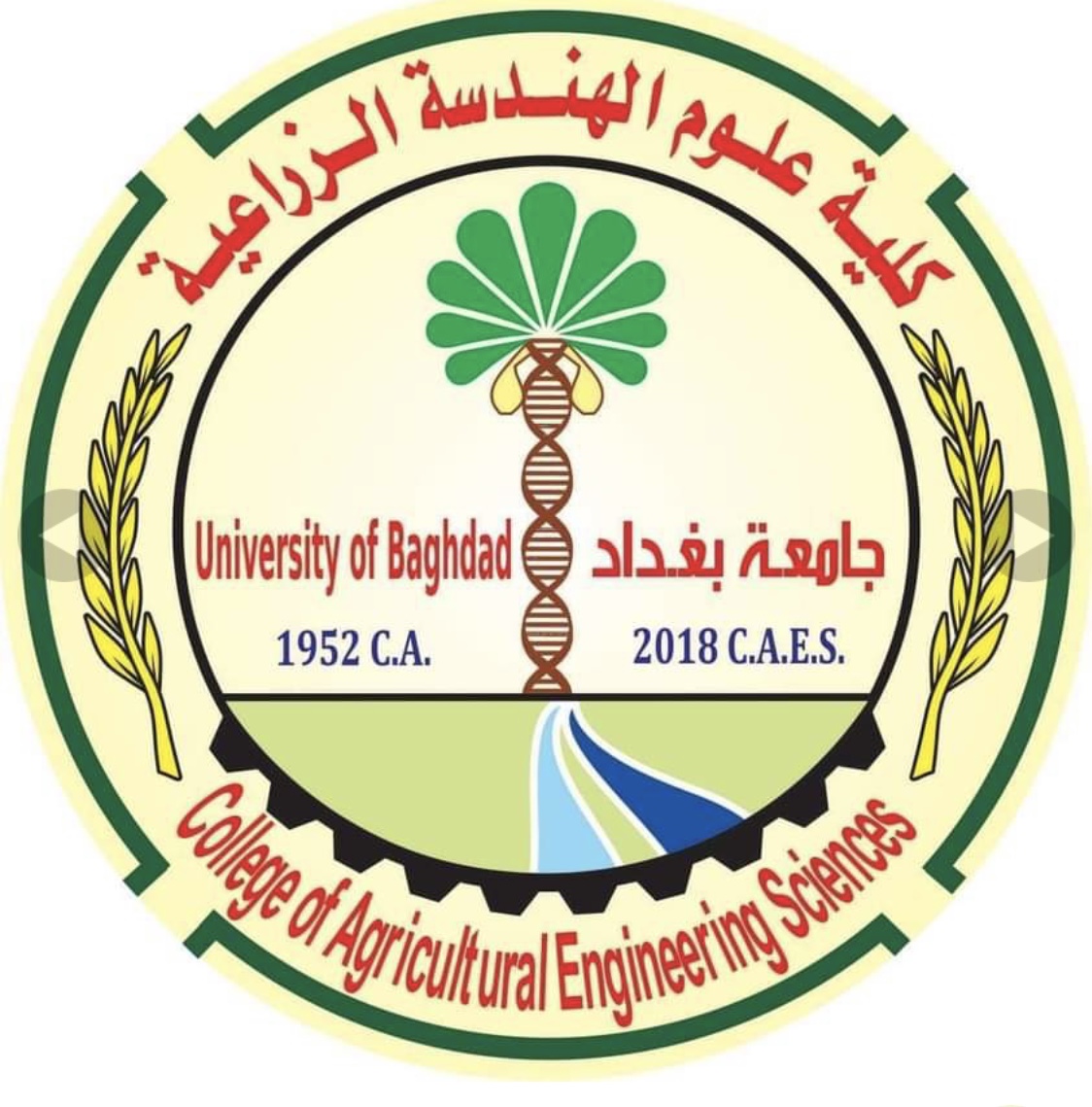 The Iraqi Journal Of Agricultural Sciences Obtains A New Impact Factor 