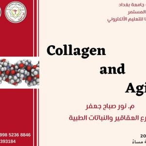 كلية-الصيدلة-تنظم-ورشة-عمل-الكترونية-عن-الكولاجين-وفوائده