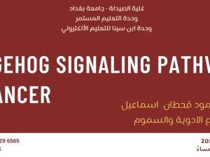 كلية-الصيدلة-تنظم-ورشة-عمل-الكترونية-عن-المسار-القنفذي-و-تطور-الأورام
