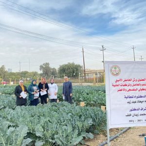 جامعة-بغداد-تقدم-دراسة-بحثية-تُعد-الأولى-من-نوعها-على-مستوى-العراق-لزراعة-البروكلي-البنفسجي